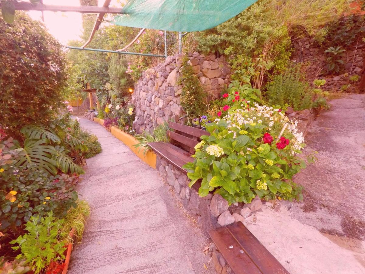 El Manantial Xalet Vega de San Mateo